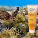 Eco-friendly alternative to chemical sunscreens: OM Botanical