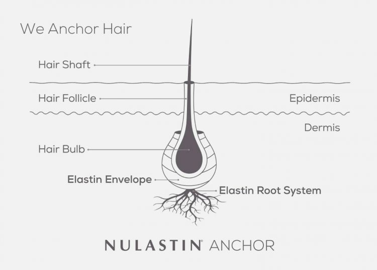 NULASTIN® reveals the secret to stronger, anchored hair