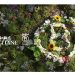The L’OCCITANE Group is now B Corp™ certified