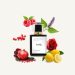 AromaPassions Fragrance Line launches 25 new perfumes, bringing unique scents to the market