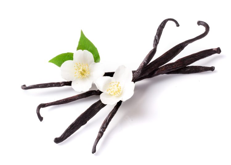 Givaudan launches Scentaurus™ Vanilla, consolidating the broadest collection of fragrance precursors in the industry