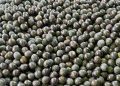 The journey of acai from the jewel of the earth to a superstar cosmetic ingredient