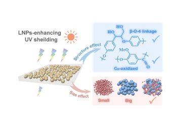 Harnessing Nature’s Shield: Enhancing Sun Protection with Lignin Nanoparticles in Cosmetics