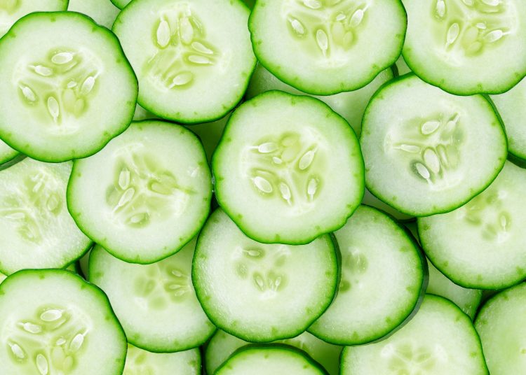 Explored: Beneficial effect of cucumber extract on joint health