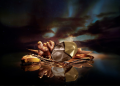 Introducing ‘Ôrəbella NIGHTCAP by Bella Khair Hadid
