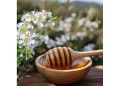 Lucas Meyer Cosmetics by Clariant to launch Melicica™, an innovative honey-based repair solution for damaged skin